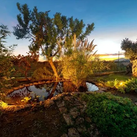 Alma Villa Sant Josep de sa Talaia